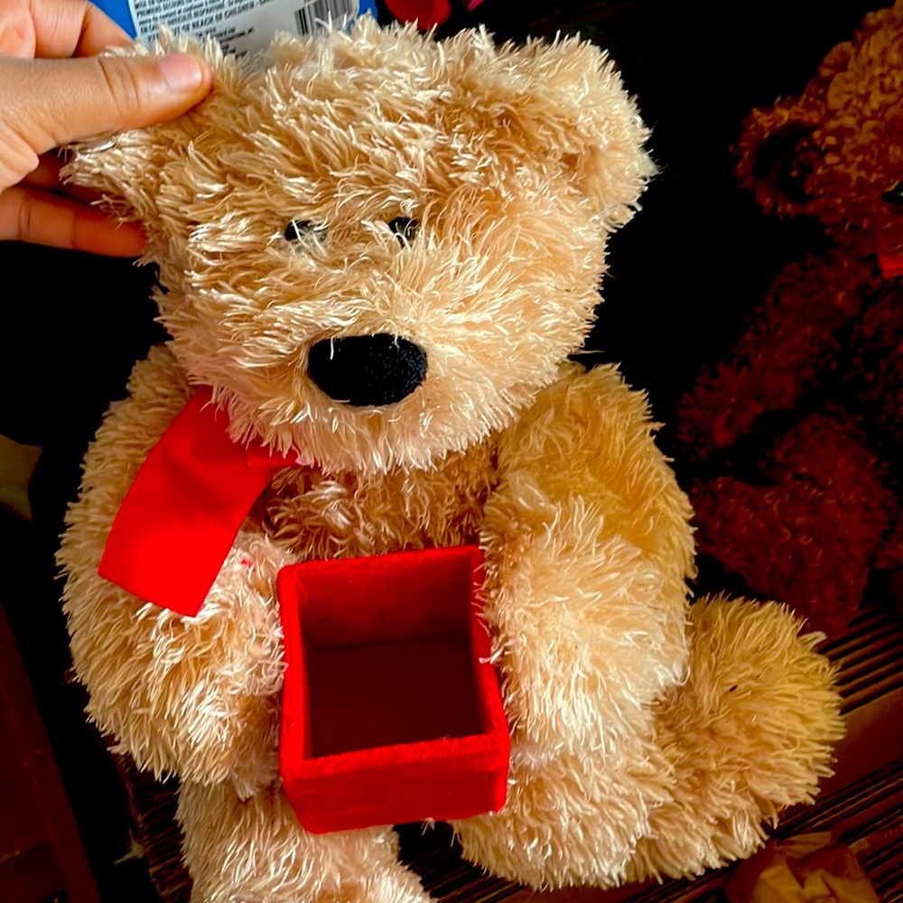 Cute bear